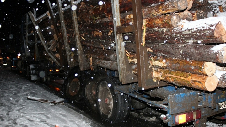 Жителя Екатеринбурга судят за контрабанду леса на миллионы рублей