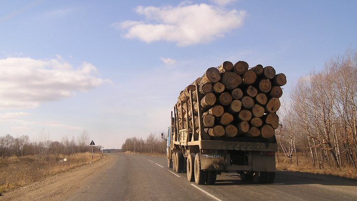 Забыл опустить кузов: В Прикамье КамАЗ снёс пешеходный мост
