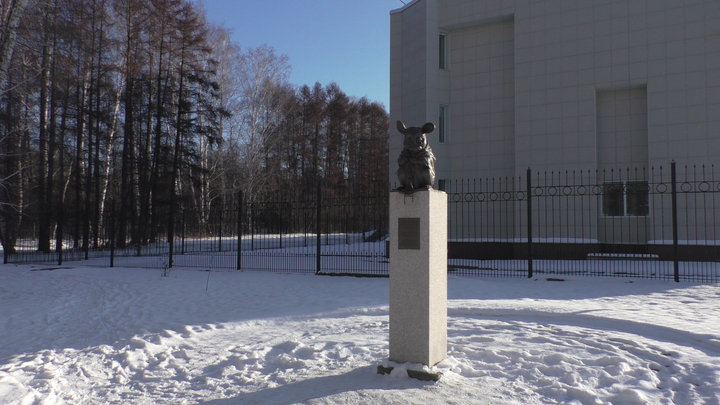 Памятник лабораторной мыши в новосибирском Академгородке: Грызуны на страже науки