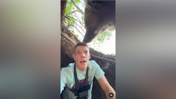 Блогер Янкович из Сербии залез к медведю в берлогу или еле спасся от него