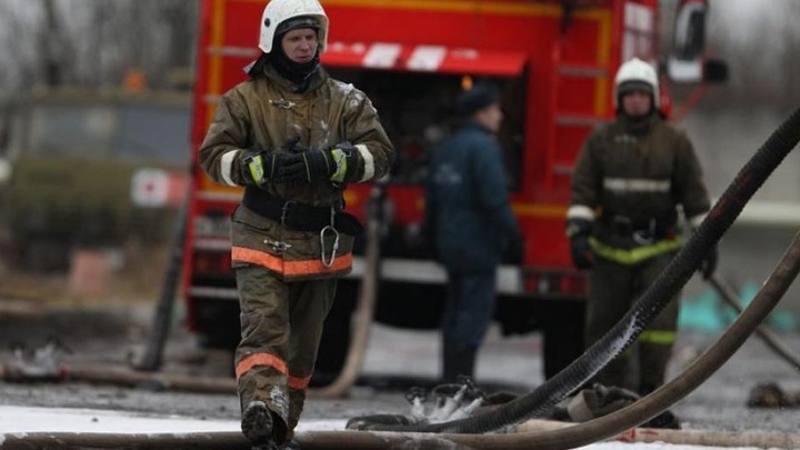 Более 100 животных погибли при пожаре в подпольном террариуме в Екатеринбурге
