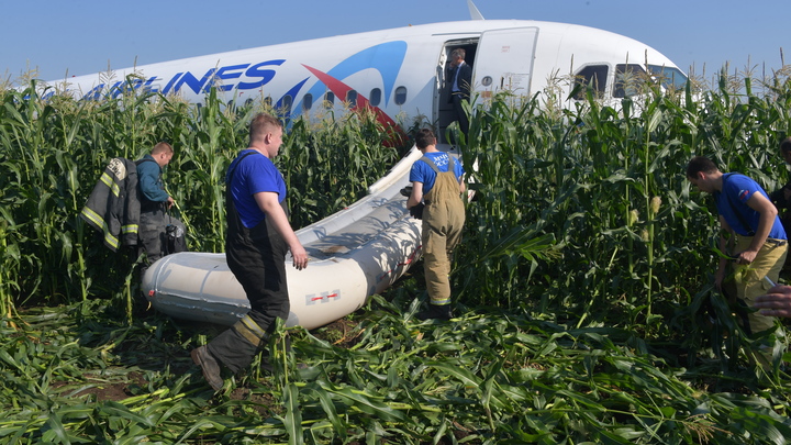 Приземление в кукурузу - случайность: Пилот Аэрофлота из-за рекламы Конституции устроил скандал