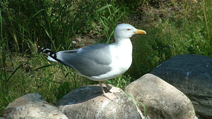 На Кубани до 2023 года создадут 13 особо охраняемых природных территорий