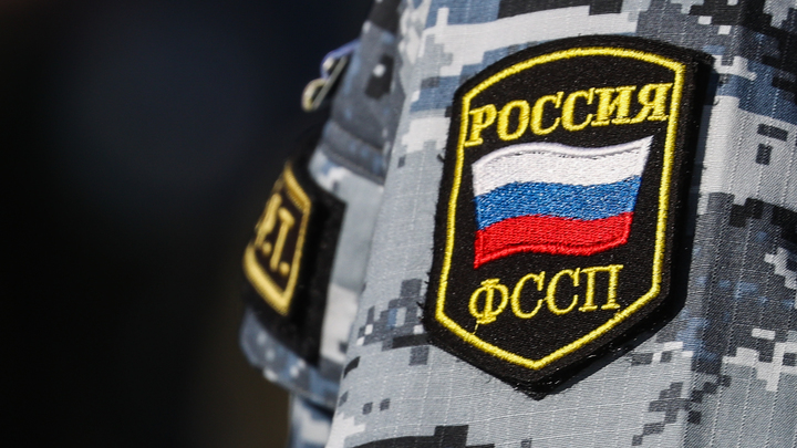 Стало известно, сколько мигрантов приставы выдворили из Петербурга с начала года