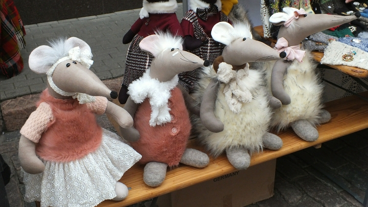 Крысы заполонили двор на Юго-Западе Екатеринбурга