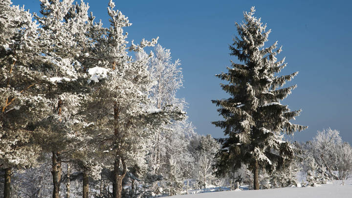 Погода на Старый Новый год: Где в России ожидаются рекордные морозы