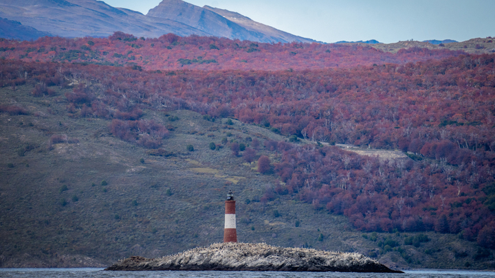 Два десятка детей застряли на необитаемом острове в Приморье