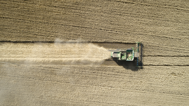 Зерновая сделка на грани. За дерзость ООН может ответить Одесса