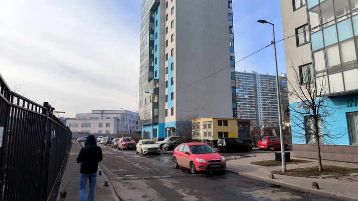 Какую погоду в Петербург принесет антициклон Клеменс