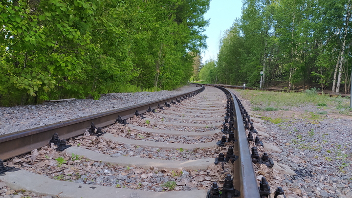 СК проведёт проверку наезда поезда на 14-летнюю девочку в Новосибирске