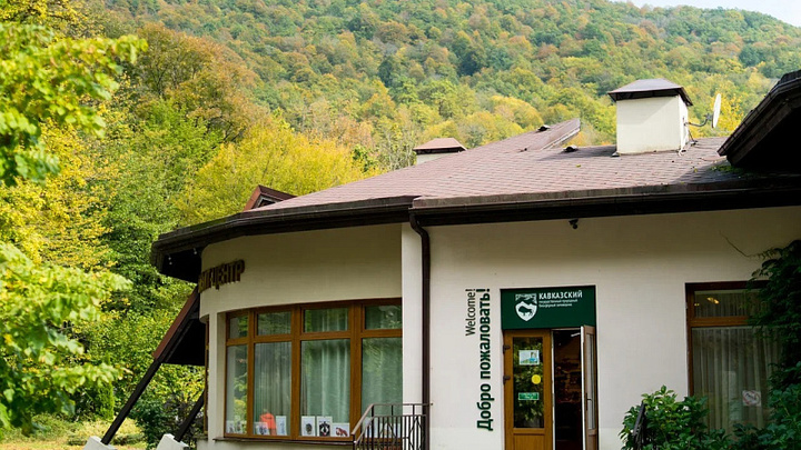 Жители и гости Сочи смогут бесплатно побывать в Кавказском биосферном заповеднике 12 мая