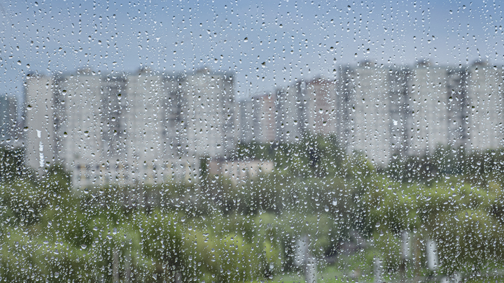 Ждем холодный фронт. В Петербурге пройдут грозовые дожди в воскресенье