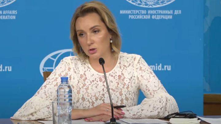 Гуманитарная работа в Африке уже начата - уполномоченный по правам ребёнка Львова-Белова