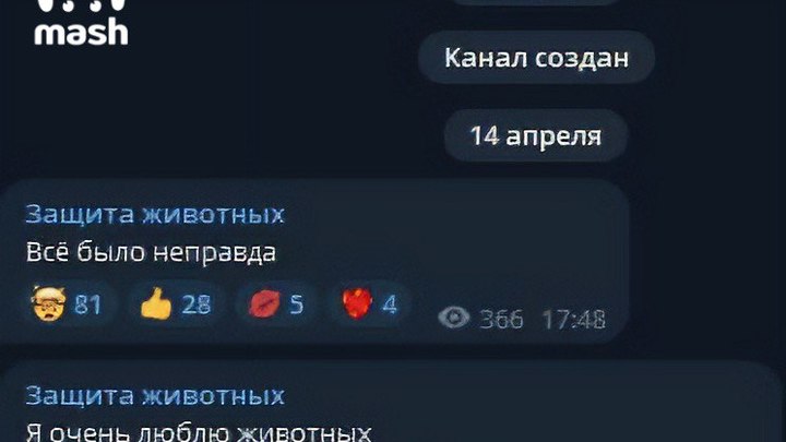 Не из Краснодара: неравнодушные пользователи Сети нашли дом живодёрки-блогерши