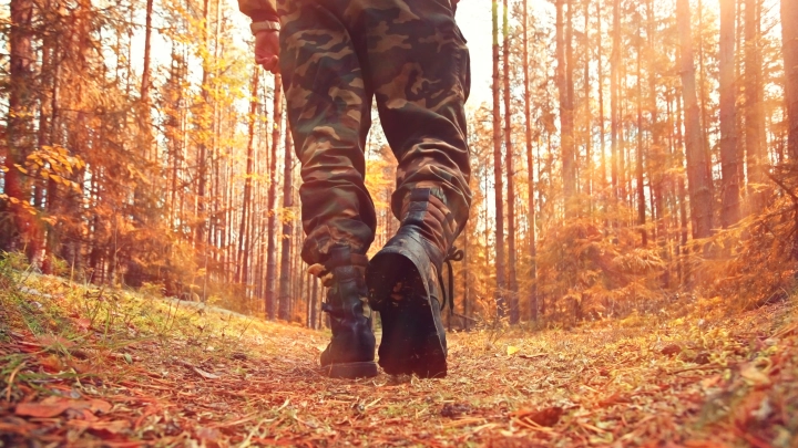 ТАСС: подписавших «молодёжный» контракт с ВСУ бросают на передовую под Сумами