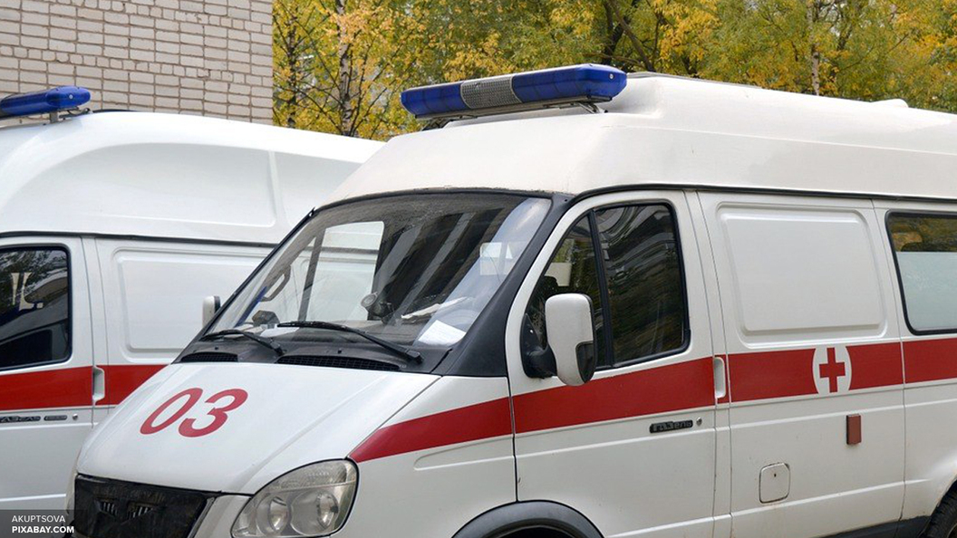 В Москве бабушку придавило деревом: она получила перелом тазобедренной кости В Москве бабушку придавило деревом: она получила перелом тазобедренной кости