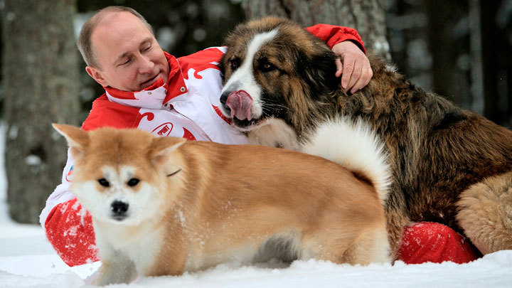 Vladimir Poutine: Portrait