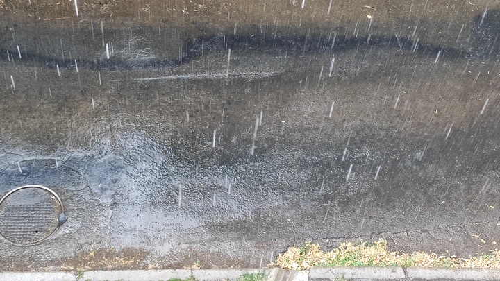 Погода в Ростове-на-Дону 17 ноября 2023: прогноз синоптиков Погода в Ростове-на-Дону 17 ноября 2023: прогноз синоптиков