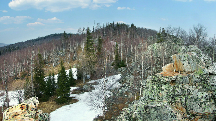 Медведь-людоед мог проснуться на Урале: Жители Серова нашли женскую голову
