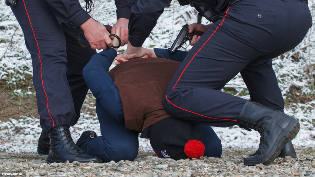 Под Петербургом задержали огромную партию наркотиков из Эстонии Под Петербургом задержали огромную партию наркотиков из Эстонии