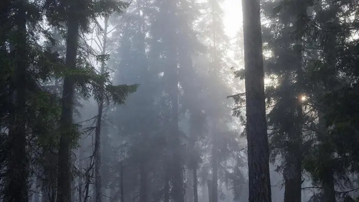 Есть ли мистика в пропаже Усольцевых? Спасатель раскрыл правду об «аномальных» зонах