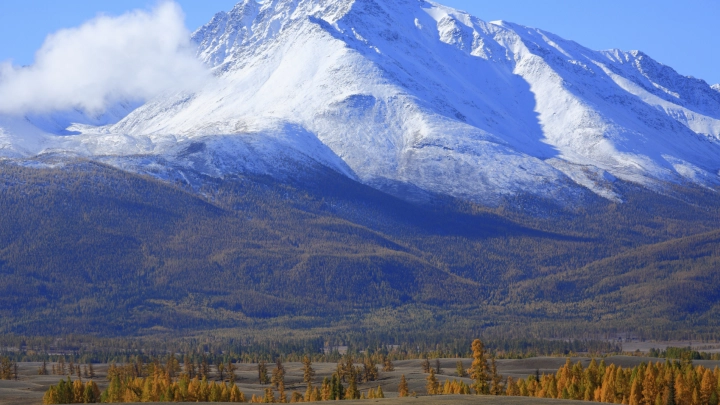 Вас размотают, как Долину: Пользователи обрушились на Rendez-Vous после скандала с вечеринкой в Куршевеле