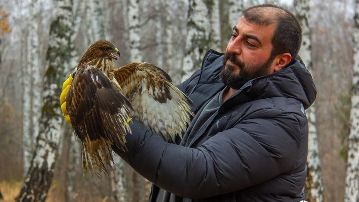 В Каштакском бору Челябинска выпустили на свободу вылеченного ястреба