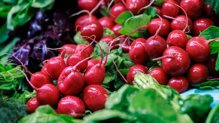 Защитит ДНК от разрушения: О необычной пользе редиса рассказала диетолог