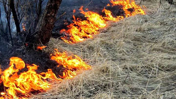 Пожар возник на Титовской сопке в Чите