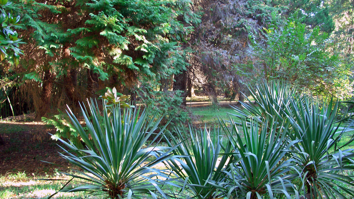 Сотрудников Сочинского нацпарка заподозрили в злоупотреблении полномочиями