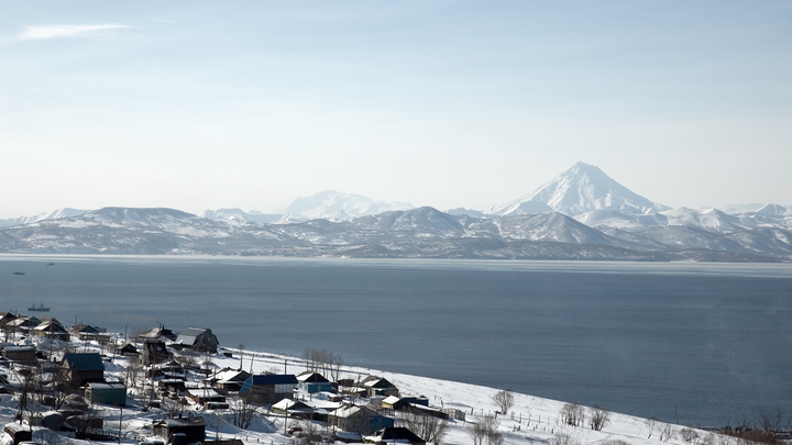 Семь тушек осьминога и большое количество ламинарии: Пятно в камчатских водах вызвало вопросы