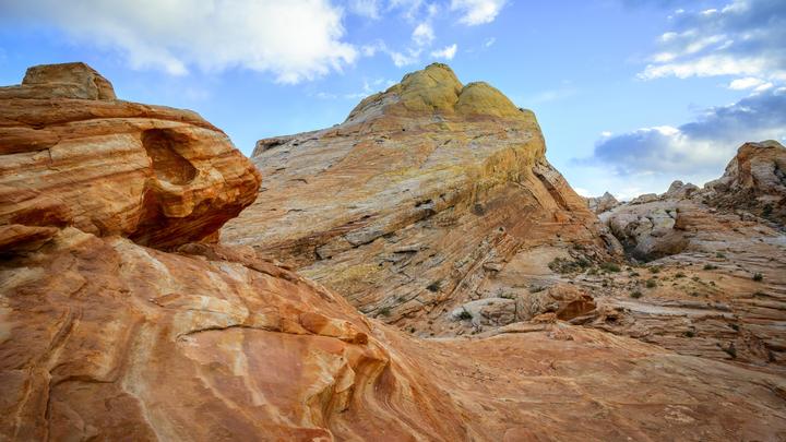 Ящерица или морская звезда? Возле Зоны 51 в США нашли нечто