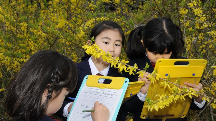 Дополнять, а не убивать: Японцы взвыли из-за цифровизации образования и электронных книг