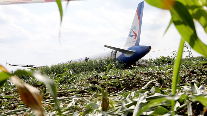 Сенсации о взрыве на MH17 - слитые подделки от арестованного за подготовку теракта, заявил бывший конструктор ОКБ