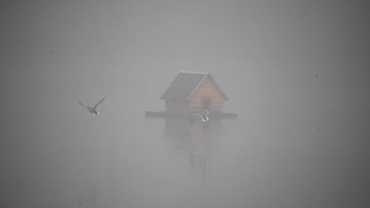 В Москве приступают к реабилитации Михайловского пруда