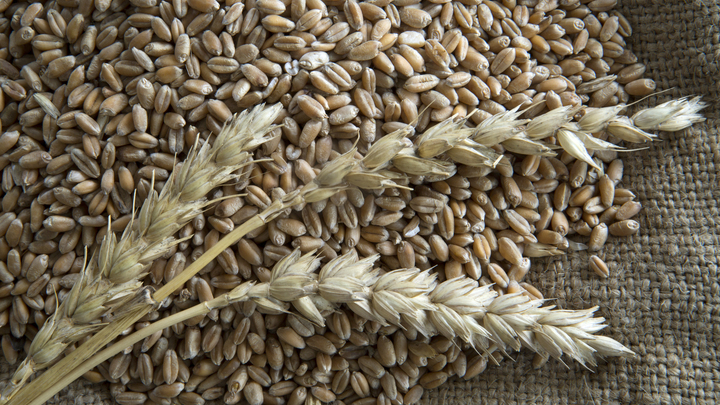 Народные приметы на 23 мая: что можно и нельзя делать в Симонов день