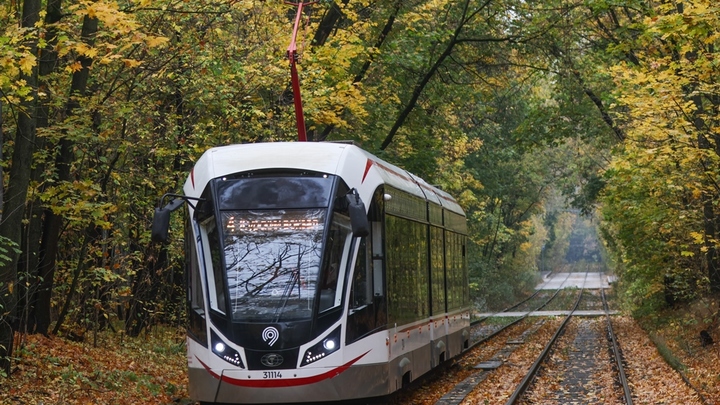 Осадков не будет, но: Какой погоды ждать жителям Москвы и Подмосковья?