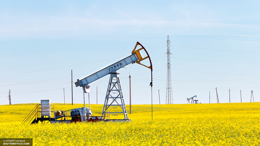 Лукойл купит у экс-премьера Катара нефтяную компанию в ХМАО Лукойл купит у экс-премьера Катара нефтяную компанию в ХМАО