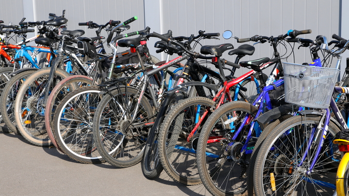 Как перевозить сезонный спортивный инвентарь в транспорте Подмосковья