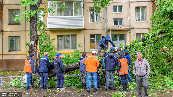 Гроза с порывами ветра: МЧС предупреждает об ухудшении погоды в Москве