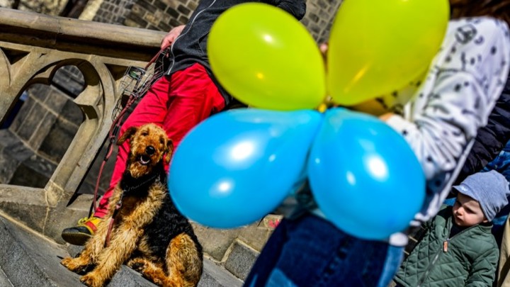 Кива: освобождённая Украина должна жить без выборов пять лет