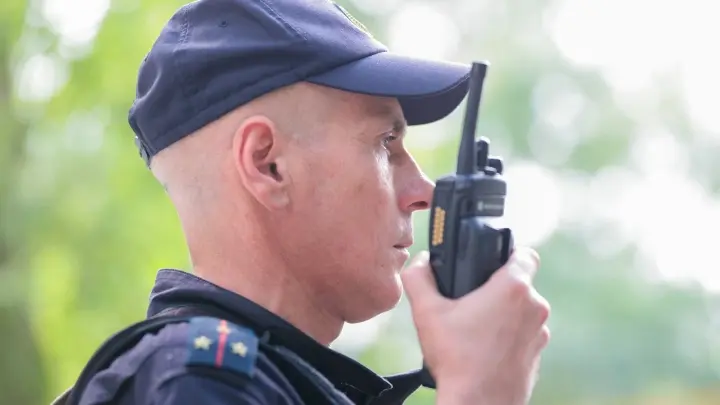 Геленджик накрылся медным тазом. Мошенники начали торговать фейковыми авиабилетами с фишинговых страниц