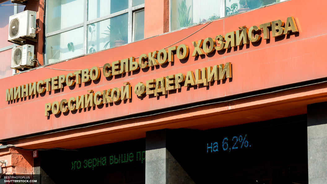 Россельхознадзор хочет уничтожать не только санкционные продукты, но и фальсификат Россельхознадзор хочет уничтожать не только санкционные продукты, но и фальсификат