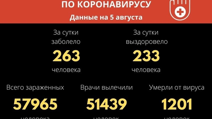 COVID-19 с начала пандемии заразилось почти 58 тысяч забайкальцев