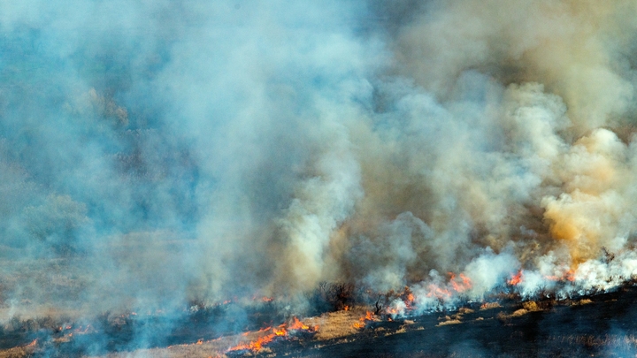Украинские беженцы в ФРГ сожгли свой дом, уничтожая флаг России. Видео получилось эпичным