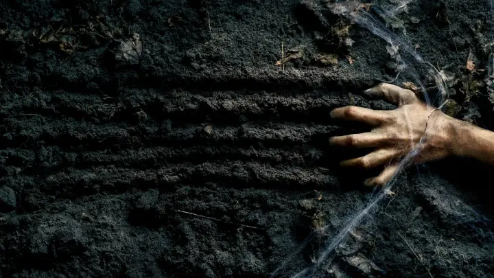 Мальчика мог никто не найти, но ангел-хранитель пришёл на помощь: Невероятная история