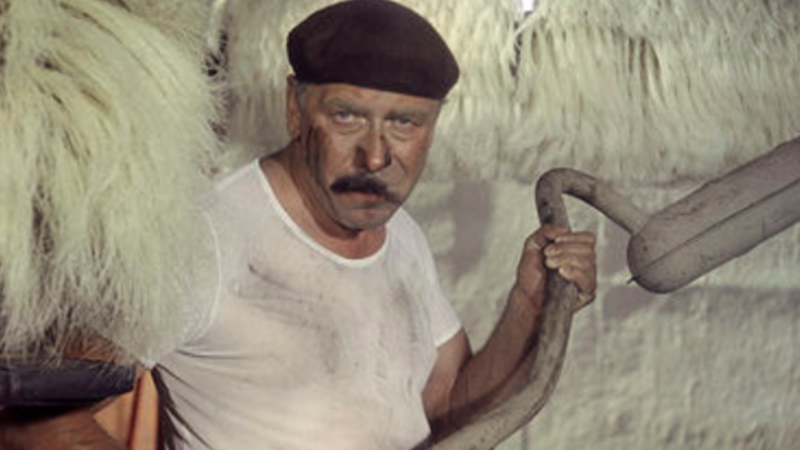 Главную роль в Бриллиантовой руке мог бы сыграть Сатановский: Буду бить аккуратно, но сильно