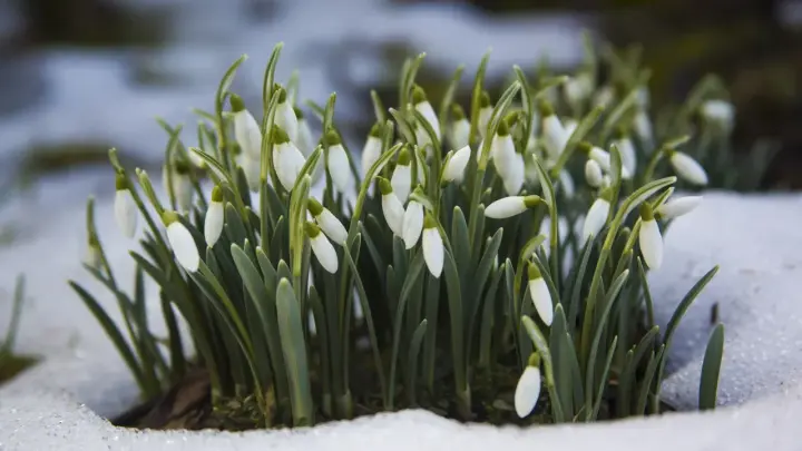Апрель не даст заскучать: Синоптик рассказал, что произойдёт с погодой в европейской части России