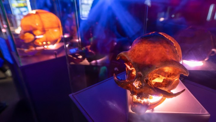 Атака инопланетян: Аборигены в Перу требуют вмешательства армии