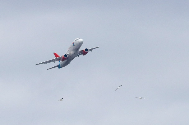 Прибытие рейса из Анталии в Сочи из-за пожара задерживается на 11 часов